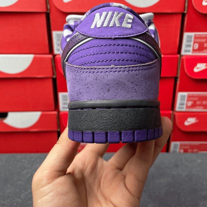 Concepts x Dunk Low SB Purple Lobster