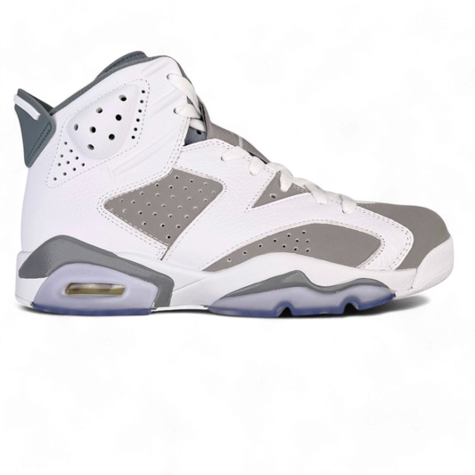 Air Jordan 6 Retro Cool Grey